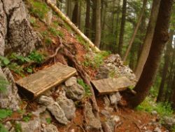 2013-06-22_Hirschhoerndl_Jochberg (069).JPG